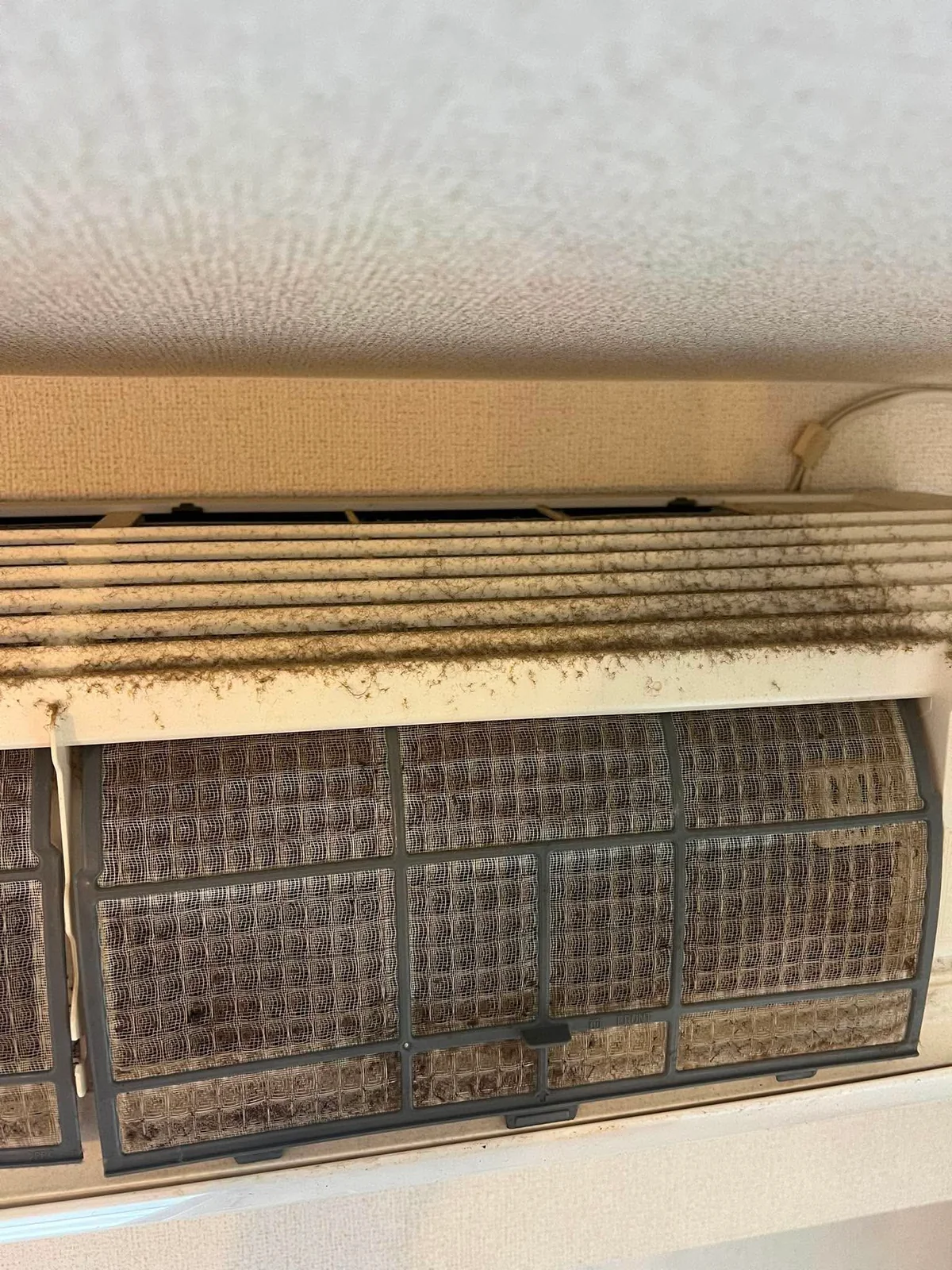 目詰まりしたエアコンのフィルター