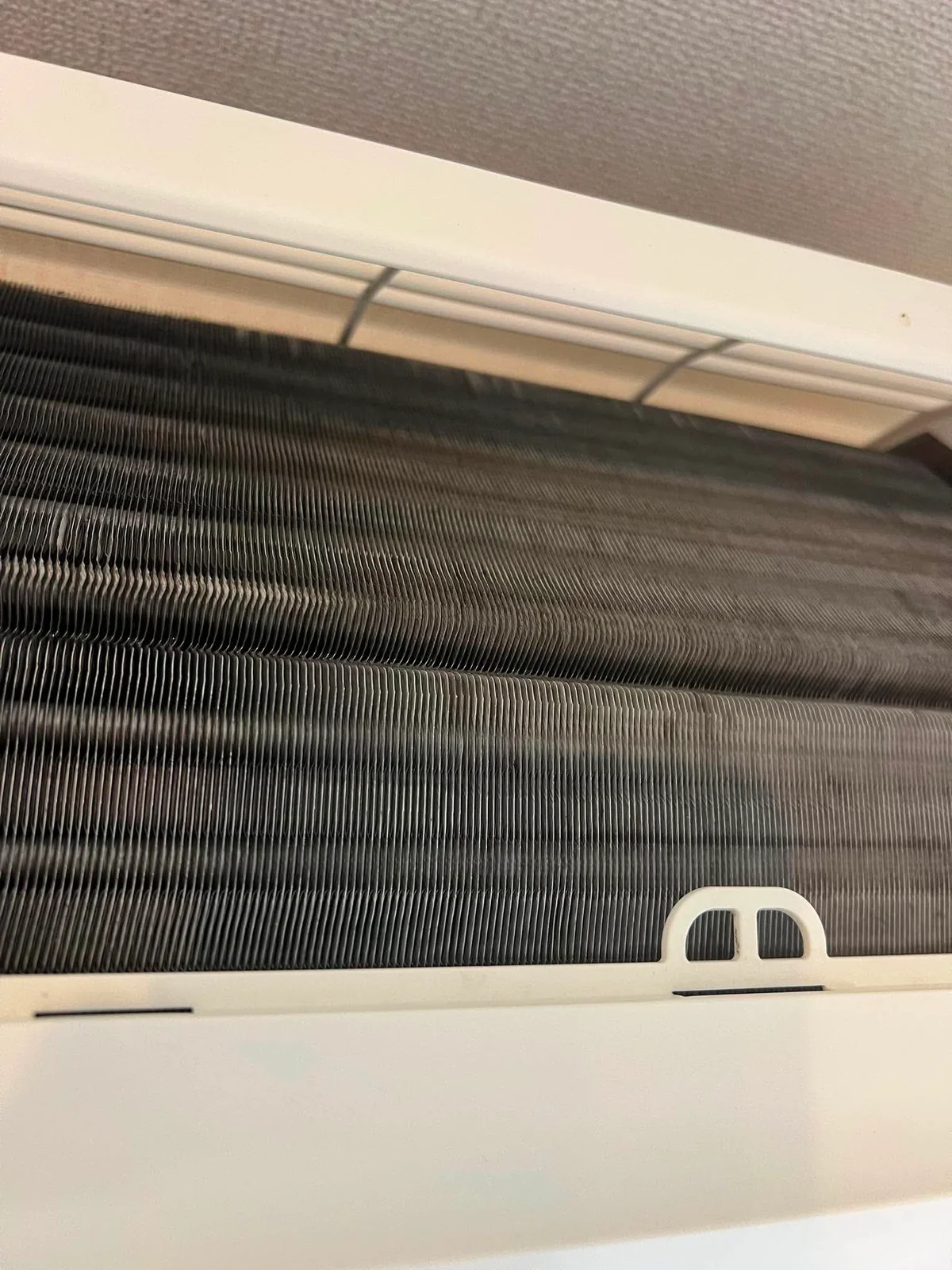 フィルターを外した奥にある熱交換器。全体が黒ずんでいる